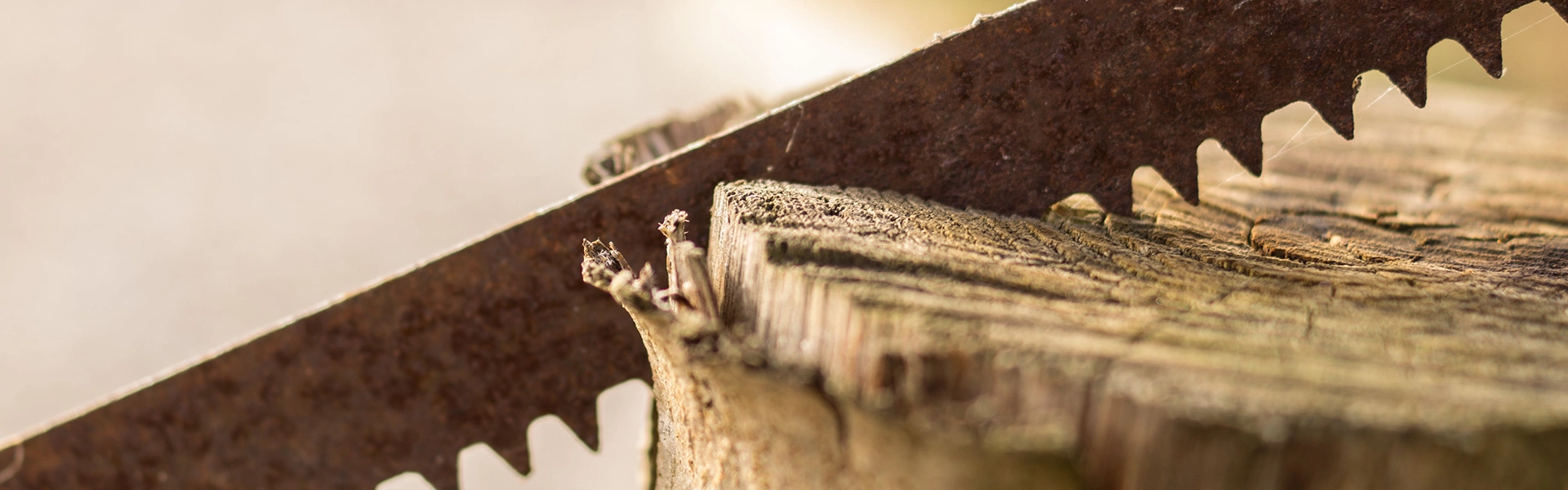 Sawing Wood Hand Saws