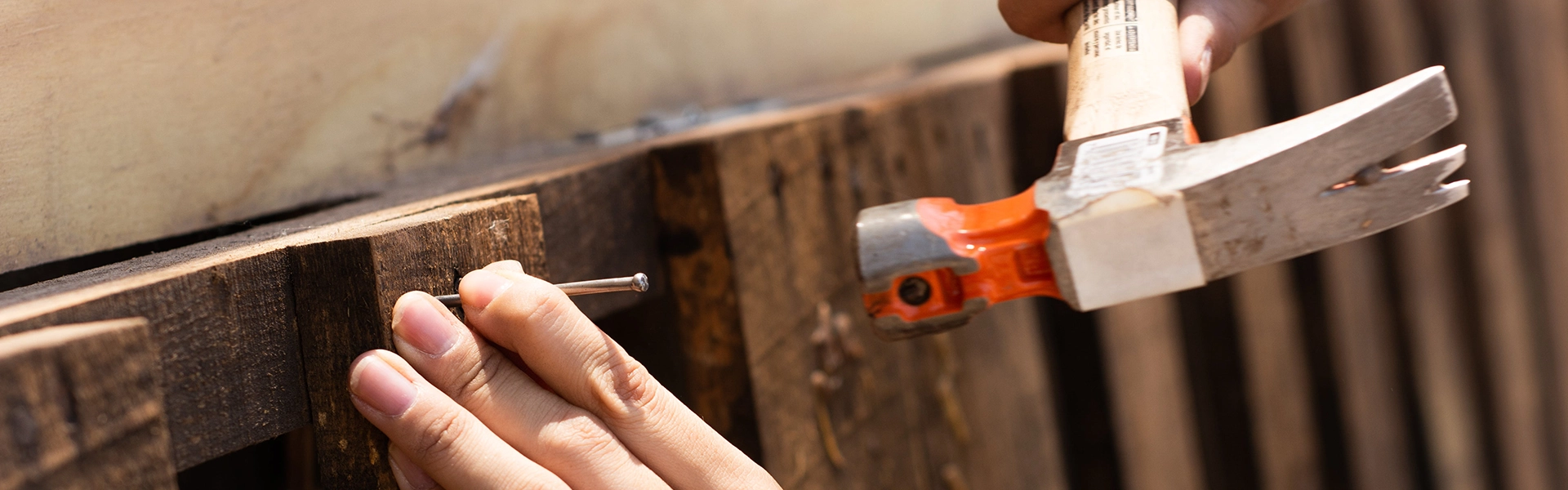 Nailed It - Thank you for signing up from our Newsletter